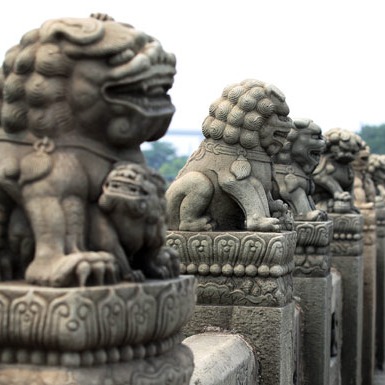 Remembering past for the sake of the future: China Daily editorial