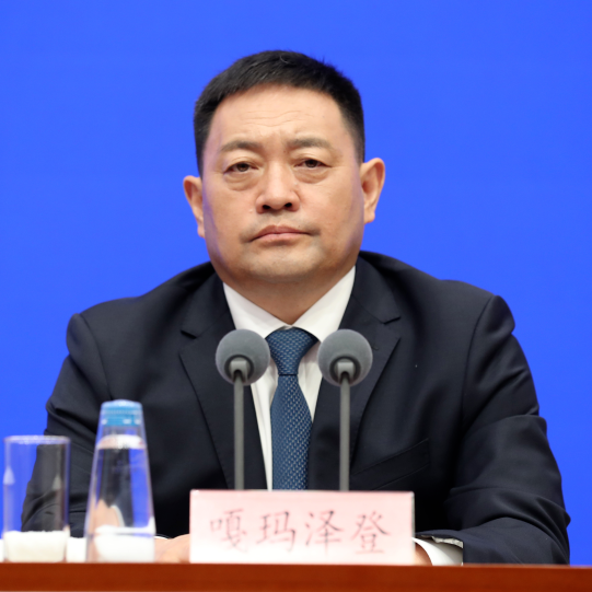 Central government has final word on Dalai Lama reincarnation, Xizang chairman says